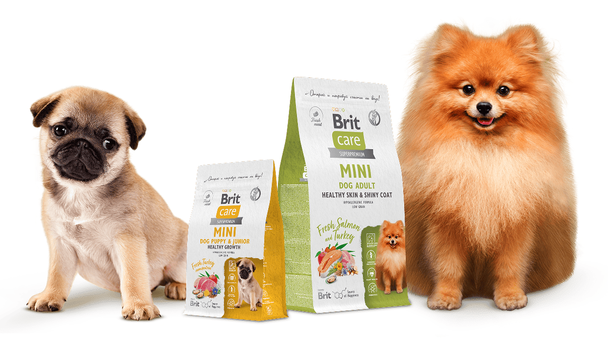 Брит Кеа Mini